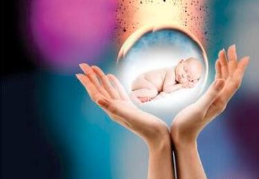 培养室
